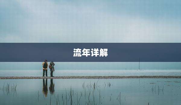 流年详解