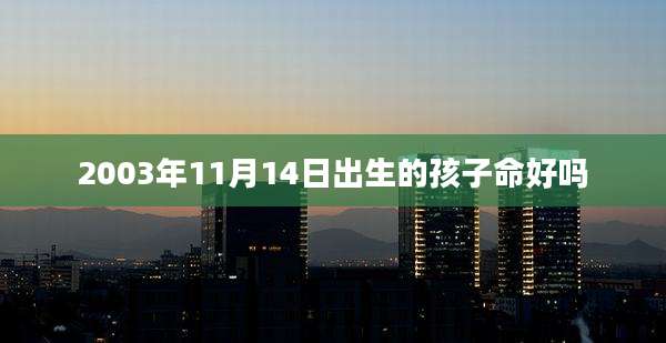 2003年11月14日出生的孩子命好吗