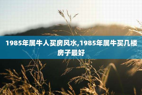 1985年属牛人买房风水,1985年属牛买几楼房子最好