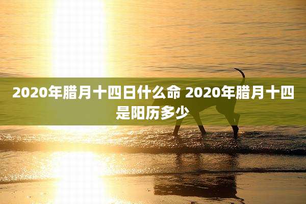 2020年腊月十四日什么命 2020年腊月十四是阳历多少
