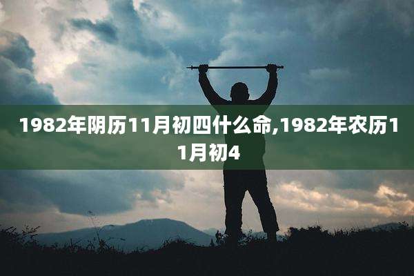 1982年阴历11月初四什么命,1982年农历11月初4