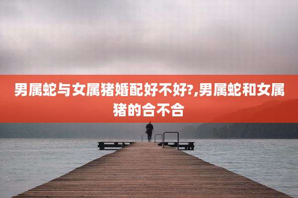 男属蛇与女属猪婚配好不好?,男属蛇和女属猪的合不合