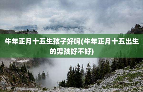 牛年正月十五生孩子好吗(牛年正月十五出生的男孩好不好)