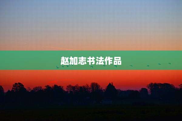 赵加志书法作品
