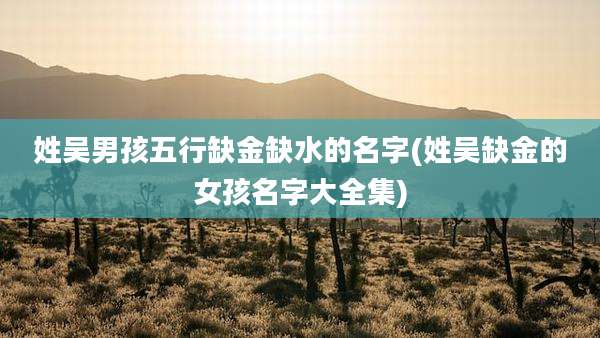 姓吴男孩五行缺金缺水的名字(姓吴缺金的女孩名字大全集)