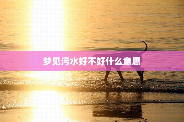 梦见污水好不好什么意思