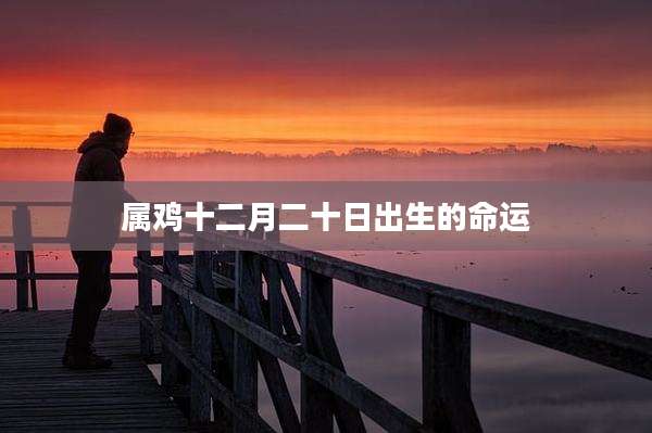属鸡十二月二十日出生的命运