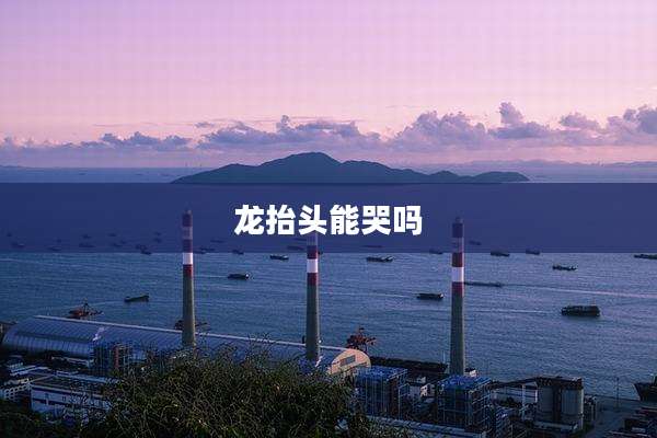 龙抬头能哭吗