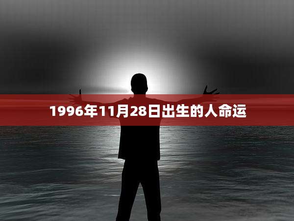 1996年11月28日出生的人命运