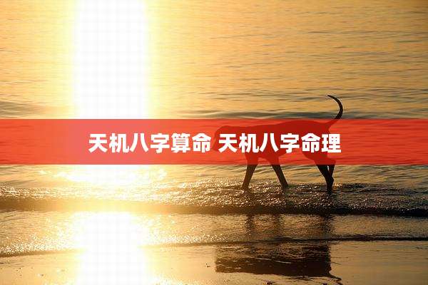 天机八字算命 天机八字命理