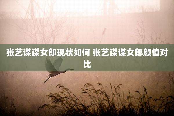 张艺谋谋女郎现状如何 张艺谋谋女郎颜值对比
