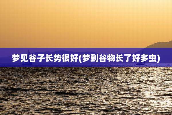 梦见谷子长势很好(梦到谷物长了好多虫)