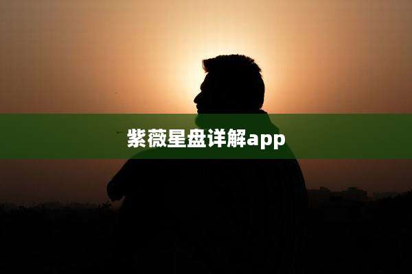 紫薇星盘详解app