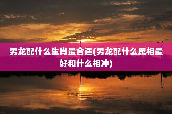 男龙配什么生肖最合适(男龙配什么属相最好和什么相冲)