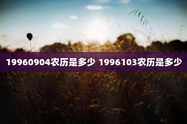 19960904农历是多少 1996103农历是多少
