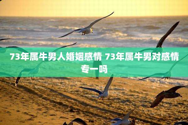 73年属牛男人婚姻感情 73年属牛男对感情专一吗