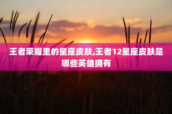 王者荣耀里的星座皮肤,王者12星座皮肤是哪些英雄拥有