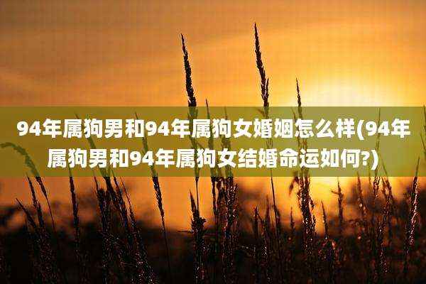94年属狗男和94年属狗女婚姻怎么样(94年属狗男和94年属狗女结婚命运如何?)