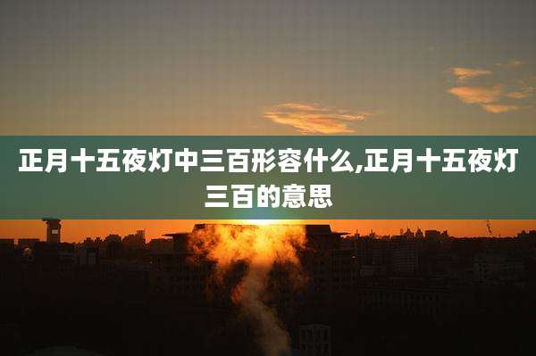 正月十五夜灯中三百形容什么,正月十五夜灯三百的意思