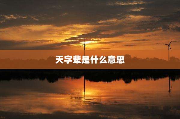 天字辈是什么意思