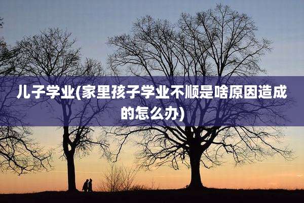 儿子学业(家里孩子学业不顺是啥原因造成的怎么办)