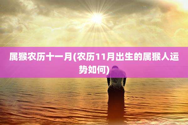 属猴农历十一月(农历11月出生的属猴人运势如何)