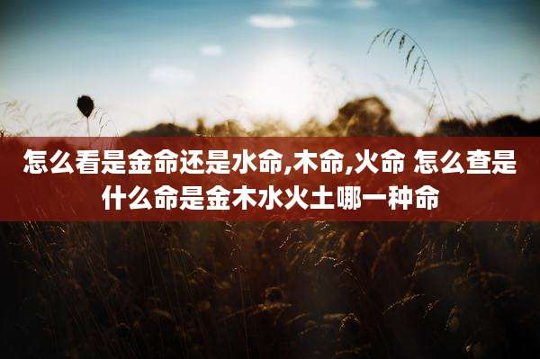 怎么看是金命还是水命,木命,火命 怎么查是什么命是金木水火土哪一种命