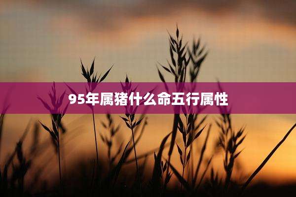 95年属猪什么命五行属性