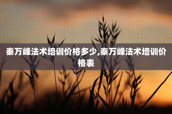 秦万峰法术培训价格多少,秦万峰法术培训价格表