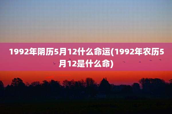 1992年阴历5月12什么命运(1992年农历5月12是什么命)