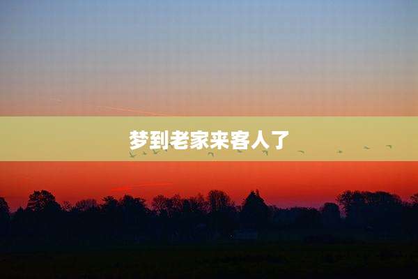 梦到老家来客人了