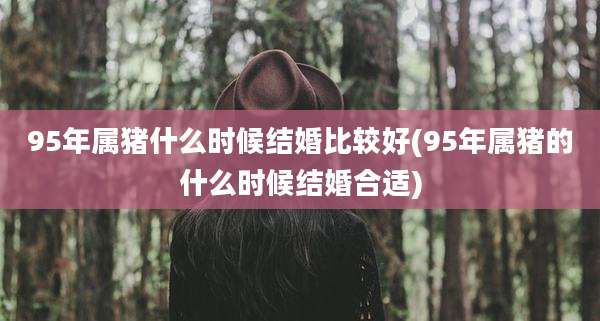 95年属猪什么时候结婚比较好(95年属猪的什么时候结婚合适)