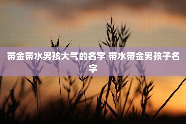 带金带水男孩大气的名字 带水带金男孩子名字
