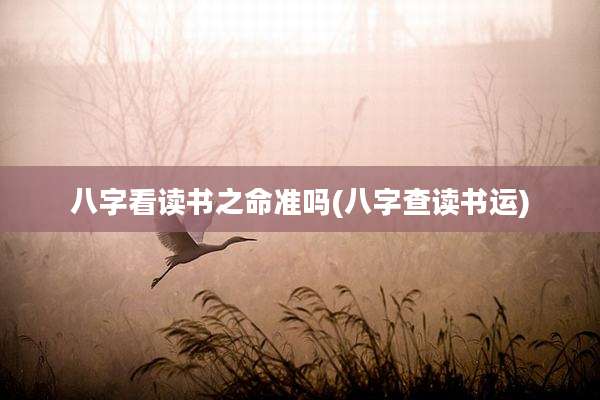 八字看读书之命准吗(八字查读书运)