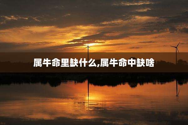 属牛命里缺什么,属牛命中缺啥