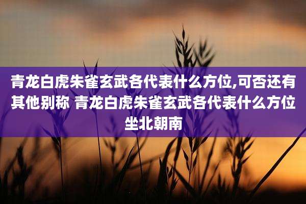 青龙白虎朱雀玄武各代表什么方位,可否还有其他别称 青龙白虎朱雀玄武各代表什么方位坐北朝南