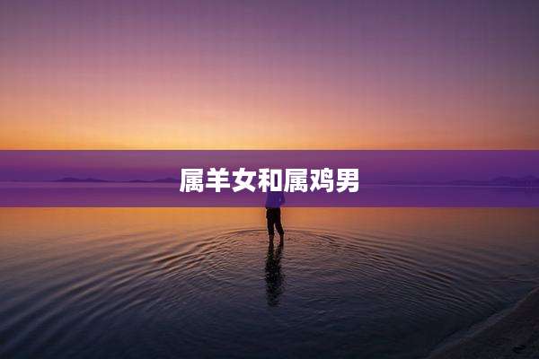 属羊女和属鸡男
