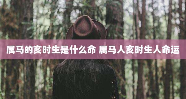 属马的亥时生是什么命 属马人亥时生人命运