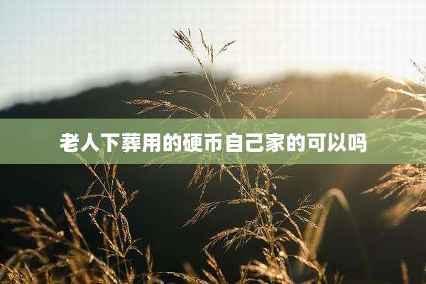 老人下葬用的硬币自己家的可以吗