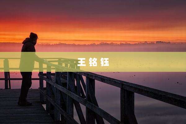 王 铭 钰