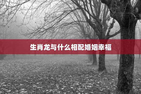 生肖龙与什么相配婚姻幸福