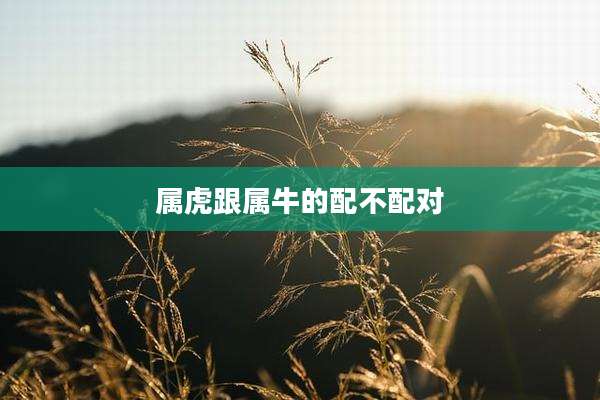 属虎跟属牛的配不配对