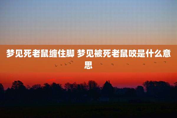 梦见死老鼠缠住脚 梦见被死老鼠咬是什么意思