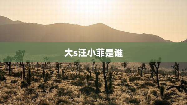 大s汪小菲是谁