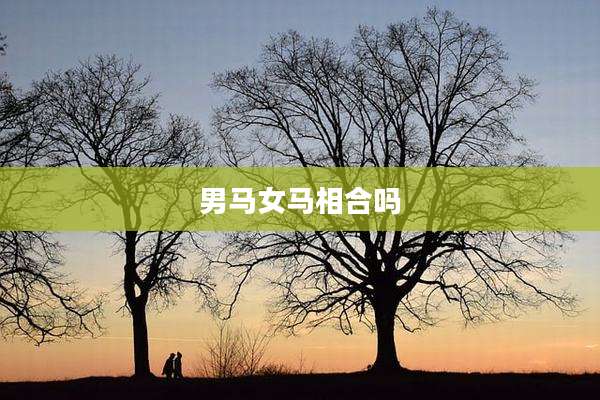 男马女马相合吗