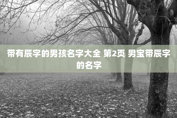 带有辰字的男孩名字大全 第2页 男宝带辰字的名字