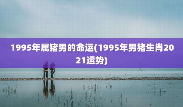 1995年属猪男的命运(1995年男猪生肖2021运势)