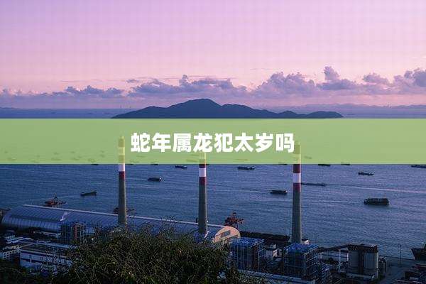 蛇年属龙犯太岁吗