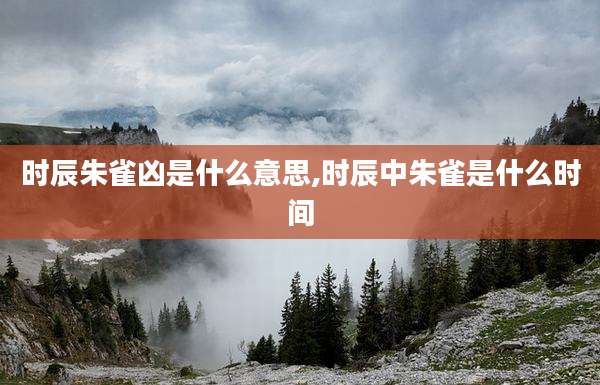 时辰朱雀凶是什么意思,时辰中朱雀是什么时间