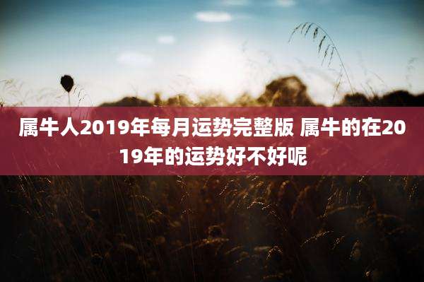 属牛人2019年每月运势完整版 属牛的在2019年的运势好不好呢